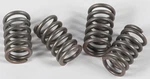 Ebc Clutch Spring Kit CSK3 New. Price: $12.98.