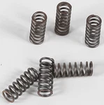 Ebc CSK39 Clutch Springs New. Price: $22.29.