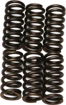 Ebc Clutch Spring Kit CSK11 New. Price: $12.94.