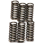 Ebc Csk Clutch Spring Kit For 2008-2009 Ktm 525 Xc Atv New. Price: $18.32.