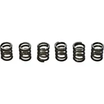 Ebc Csk Clutch Spring Suzuki TL1000R Motorcycle (1998-2003) New. Price: $18.32.