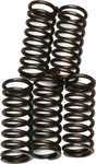 Ebc Clutch Spring Kit CSK66 New. Price: $12.94.