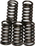 Ebc Clutch Spring Kit CSK65 New. Price: $12.98.