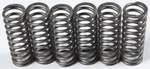 Ebc Clutch Spring Kit CSK119 New. Price: $12.98.