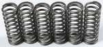 Ebc Clutch Spring Kit CSK119 New. Price: $19.05.