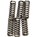 Ebc Csk Clutch Spring Kit Suzuki Gsx-r 1000 Motorcycle (2009) New. Price: $28.84.