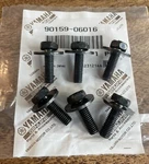 6 X Clutch Spring Bolt Screw + Washer Yamaha Banshee Oem New. Price: $29.95.